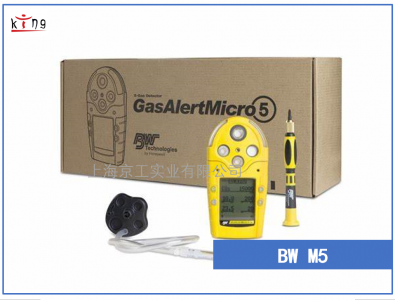 BW氣體檢測(cè)儀GasAlertMicro 5